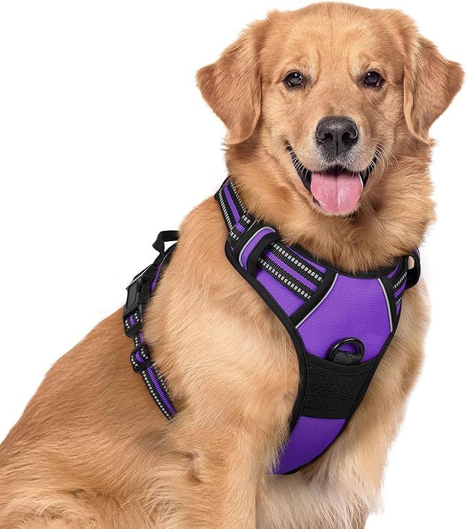 rabbitgoo Dog Harness No Pull with 2 Leash Clips, Adjustable Soft Padded, Reflective Oxford No Choke Pet Vest with Easy Control Handle for Large Dogs, Purple, XL