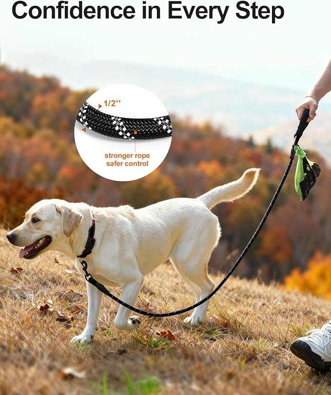 Joytale Dog Leash for Large Dogs, Heavy Duty Nylon Leashes with Comfortable Padded Handle and Highly Reflective Threads, Ideal for Walking and Training, Black, 5'횞1/2''