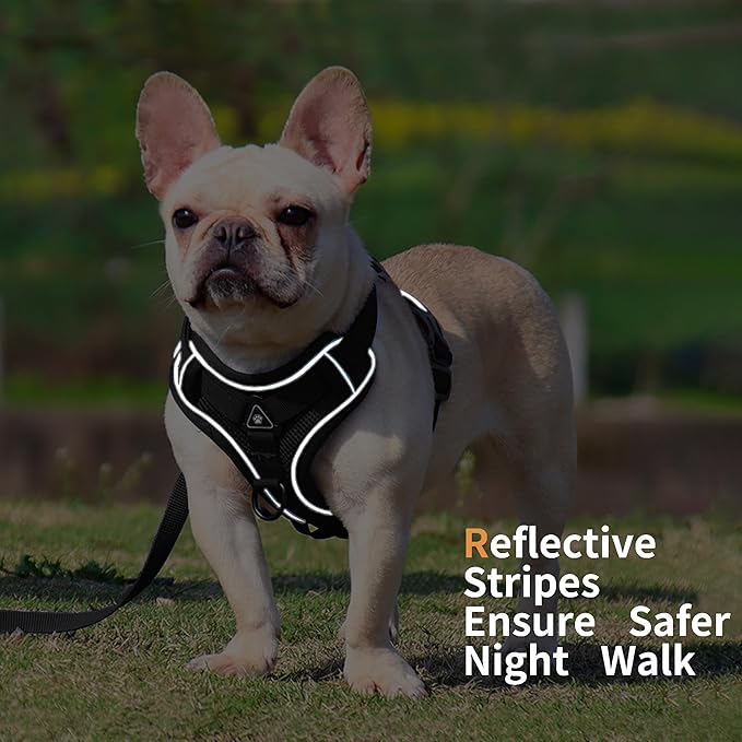 No Pull Dog Harness with Leash Set for Small Sized Dog, Reflective Adjustable No Choke Front Clip Cat Vest Harness with Breathable Mesh, Comfortable Soft Padded Pet Vest, Black M