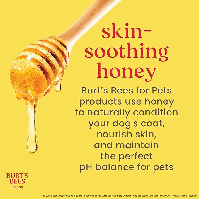 Burt’s Bees for Pets Tear Free Puppy Shampoo & Conditioner with Buttermilk, 2 in 1 Gentle Dog Shampoo for Puppies, Cleans and Conditions Sensitive Skin, 16 Fl Oz - 2 Pack