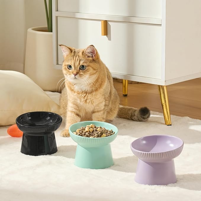 Ceramic Elevated Cat Bowls-Water Bowl, 15° Tilted Design, Anti-Vomiting & Spine Protection, Prevent Whisker Fatigue for Kittens to Adult Cats and Small Dogs (Black-Elevated Cat Bowls-2)