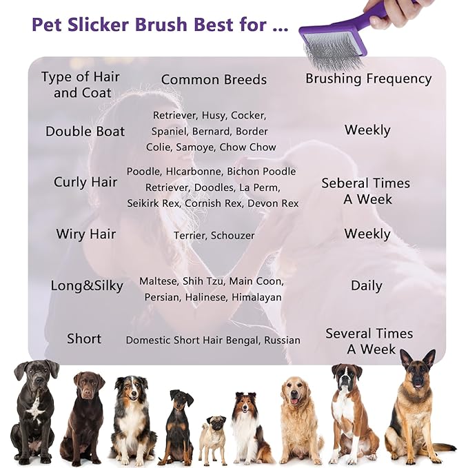 Ergonomic Slicker Brush for Long-Haired Dogs, Wooden Handle Dog Brush,Goldendoodles, Labradoodles, Poodles Long Pins for Grooming Loose Hair，Effectively Removes Tangles, Knots and Loose Fur