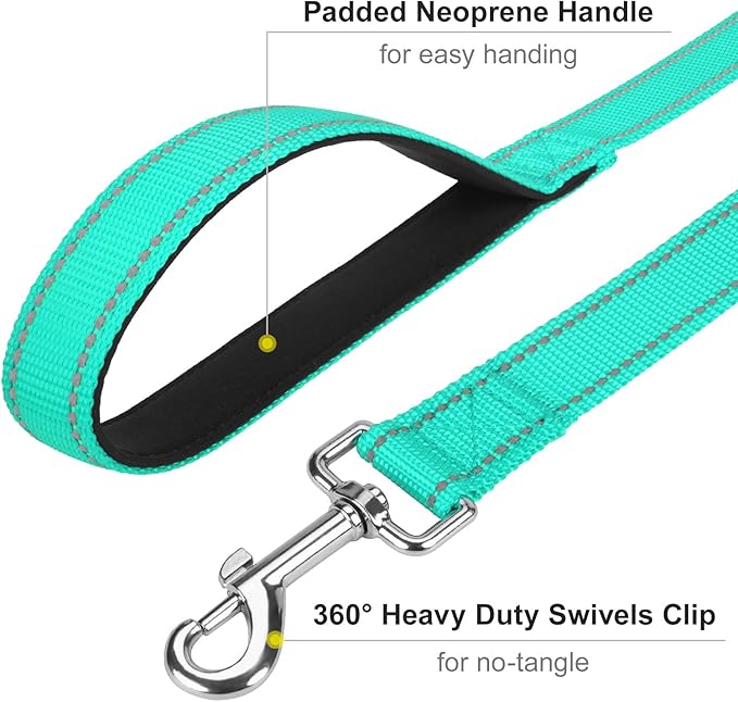 Reflective Dog Leash 6ft Soft Padded Handle Nylon Lead for Small & Medium Dogs, Durable Walking Training Leash for Night Safety (Turquoise,3/4Inch Wide)