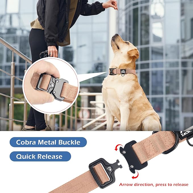 Dog Collar for Large Dogs - Adjustable, Chew Proof Nylon Collar with Metal Quick Release Buckle and D-Ring for Dog Tags (Carolina Blooms)