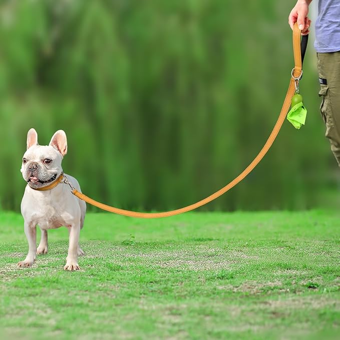 Joytale Dog Leash Heavy Duty for Small Medium Dogs, 5 FT Reflective Nylon Pet Walking Lead with Soft Padded Handle, Durable & Tangle Free for Training, Running & Safety Control, Khaki