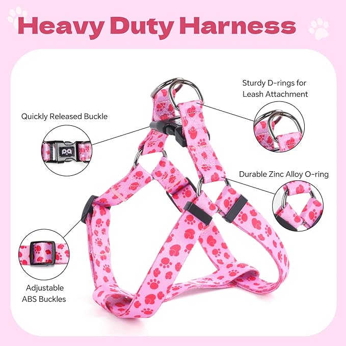 QQPETS Dog Harness Leash Set Adjustable Heavy Duty No Pull Halter Harnesses for Small Medium Large Breed Dogs Back Clip Anti-Twist Perfect for Walking
