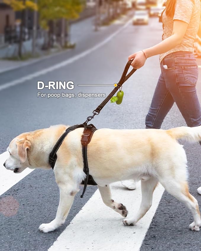 Joytale Strong Short Dog Leash 1FT, 1.2 Inch Wide, Heavy Duty, Padded Handle for Traffic Control, Reflective Leash for Medium and Large Dogs Walking Training, Black