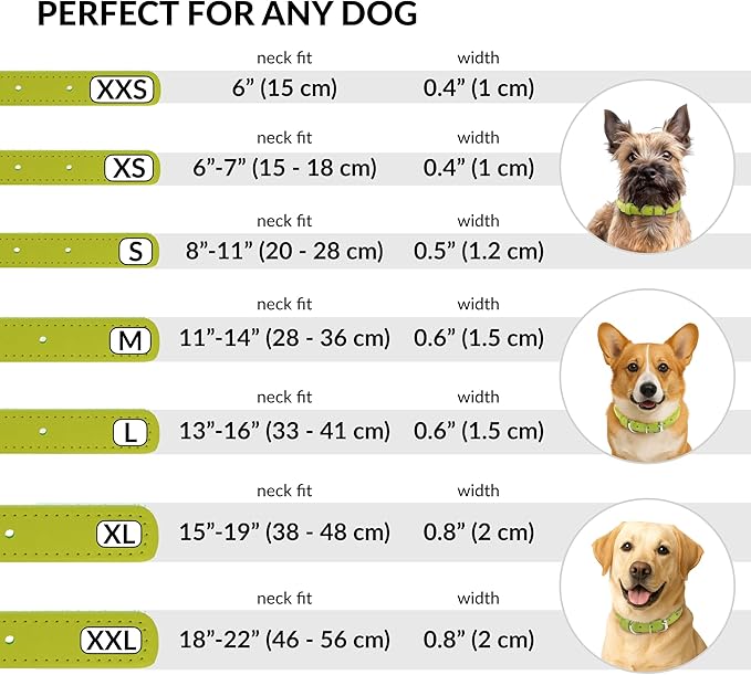 CollarDirect Rolled Leather Dog Collar, Soft Padded Round Puppy Collar, Handmade Genuine Leather Collar Dog Small Large Cat Collars 13 Colors (8-11 Inch, Lime Green Smooth)