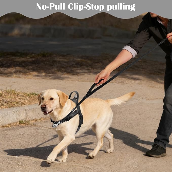 Annchwool No Pull Dog Harness with Front Clip and Easy Control Handle-Belly & Chest Adjustable Dog Harness and Leash Set for Medium Large Dogs-Heavy Duty Vest Harnesses Easy for Walking(Black,XL)