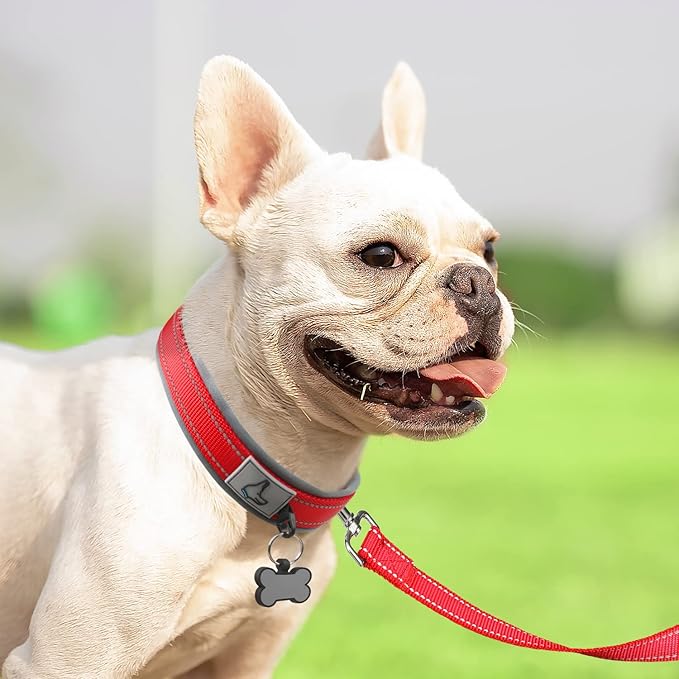 Joytale Dog Collar for Small Dogs, Neoprene Padded and Adjustable, Reflective Wide Heavy Duty Pet Collars with Durable Metal Belt Buckle for Walking, Red, S