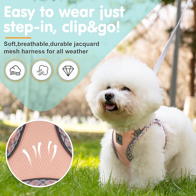 Dog Harness & Leash Set - No Pull Soft Breathable Small Dog Harness, Adjustable Reflective Step-in Vest for Puppy, Kitten, Cats