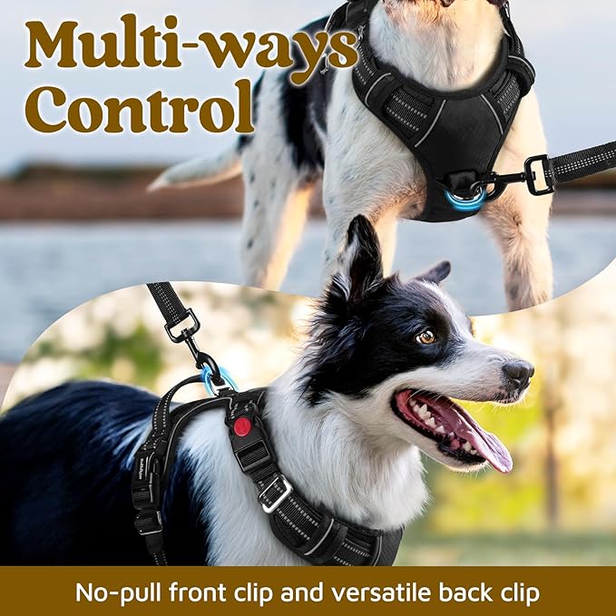 rabbitgoo Dog Harness for Large Dogs, No Pull Pet Vest with 3 Buckles, Adjustable Soft Padded Pet Harness with Easy Control Handle and Reflective Strips, Black, L
