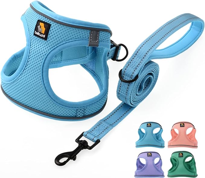 BELLA & PAL Step in Vest Harness for Small and Medium Dogs, No Pull Small Dog Harness with Leash Set, Comfortable Air Mesh Dog Vest Harness with Reflective Strip (Sky Blue, S)