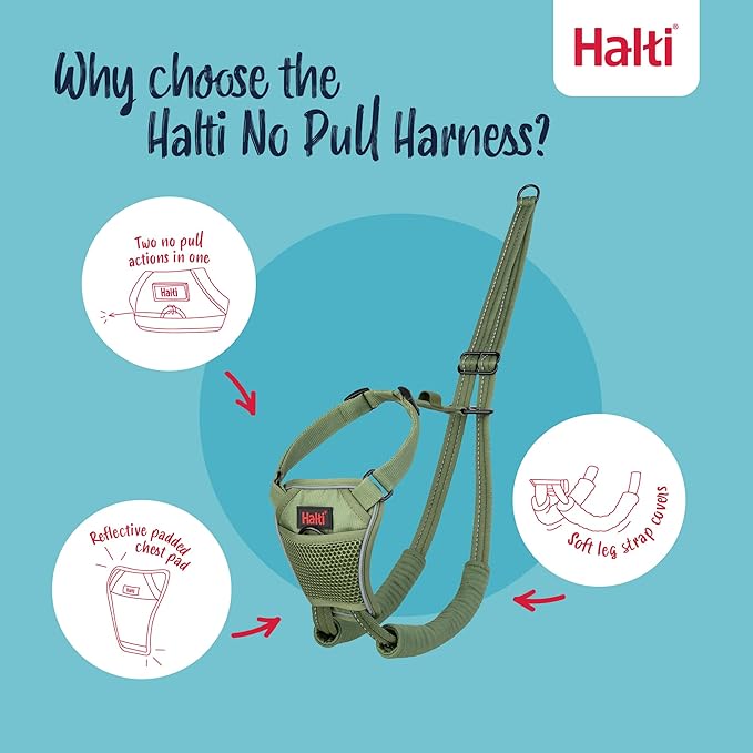 Halti No Pull Harness - Stop Your Dog Pulling on The Leash. Adjustable, Lightweight and Easy to Use. Reflective Dog Training Harness for Small Dogs (Size S, Forest Green)