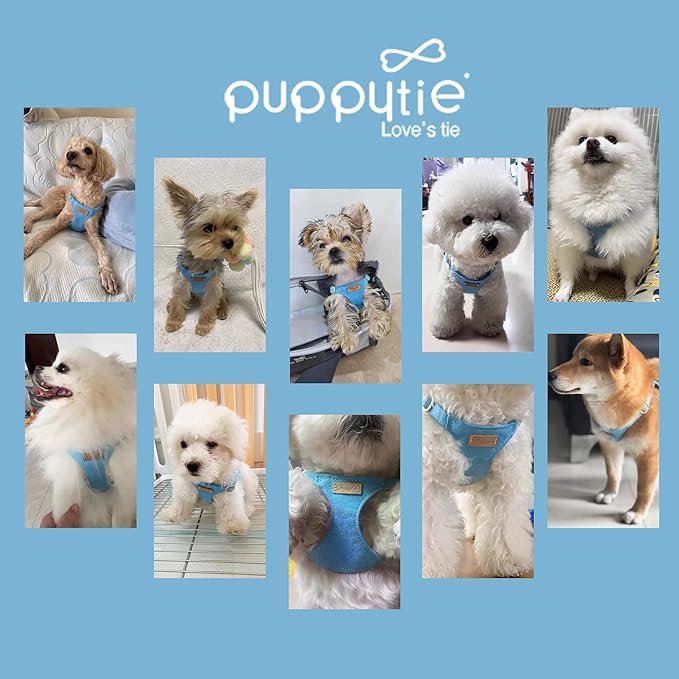 Puppytie No Pull xs Dog Harness with Multifunction Dog Leash,Soft Adjustable No Choke Escape Proof Pet Harness Vest,Ocean Blue,XS