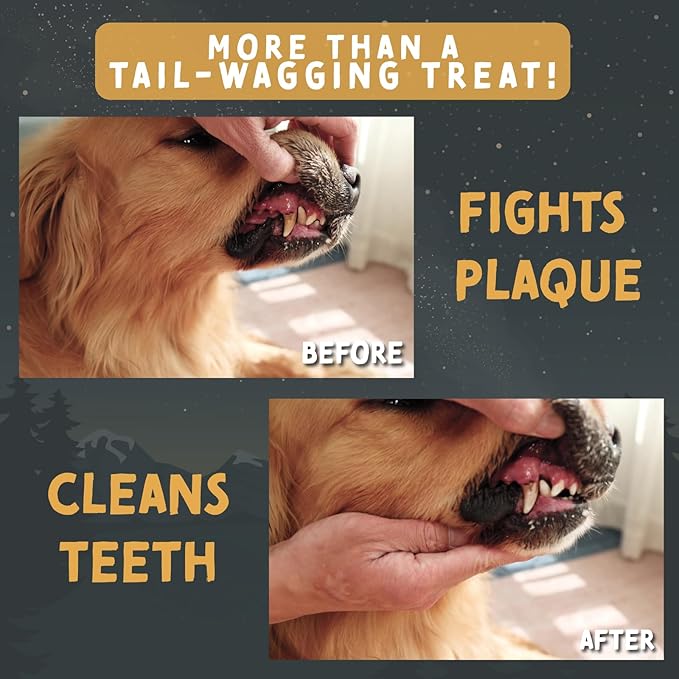 Tails & Tales Whole Elk Antler for Dogs Jumbo 9-11" Long-Lasting & Durable Dog Bones for Aggressive Chewers or Teething Puppies No Additives, Premium Grade A, Naturally Shed in USA
