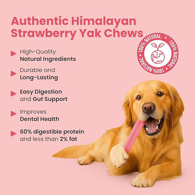 KATHMANDU'S 100% Natural Strawberry Flavored Yak Chews – Keep Dogs Busy & Happy with our Lactose&Rawhide Free Himalayan Dog Chews - Long Lasting Dental Treats for Aggressive Chewers (Large, Pack of 4)