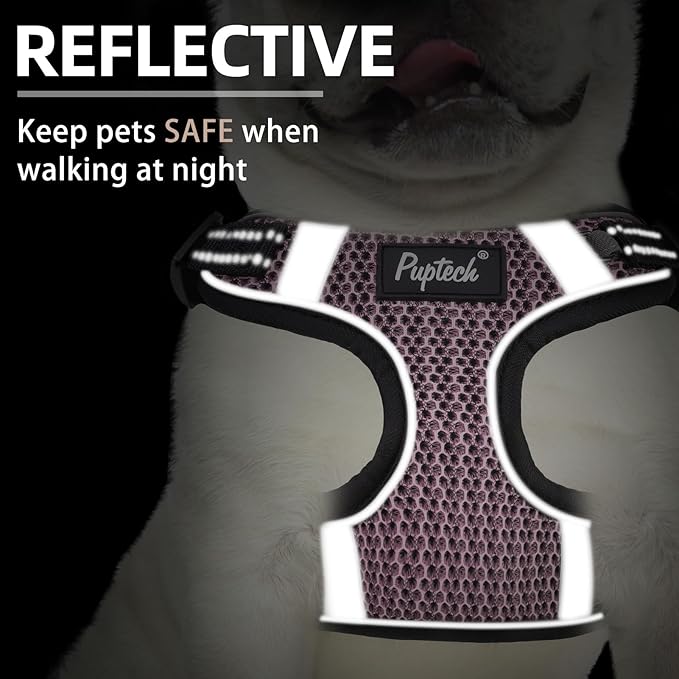 PUPTECK Dog Harness and Leash Set Small Sized, Step in No Pull Adjustable Puppy Cat Harness Reflective Pet Vest