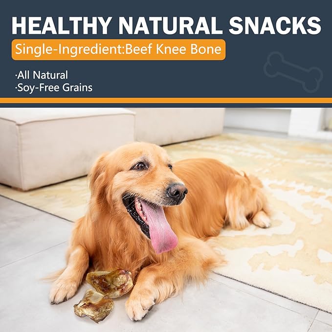Xuehao Natural Beef Bone Knee Caps，Long Lasting Natural Dog Bones（4 Pack）,for Small, Medium and Large Dogs,Long-Lasting Chews,Protect Your Dog's Teeth