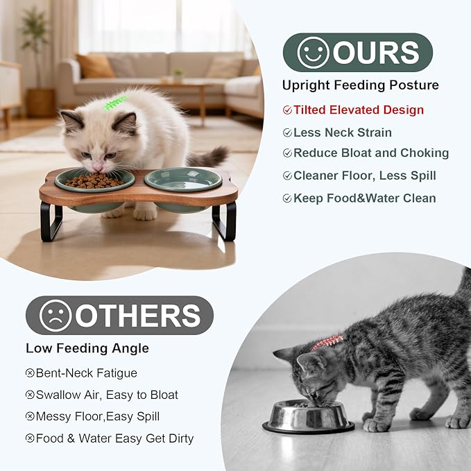 SPUNKYJUNKY Ceramic Elevated Tilted Dog Bowls Bone-Shaped Raised with 2 Height Iron Stand, 4.9'' Dog and Cat Food Water Bowls Set Non-Slip for Puppy Kitten Small Sized Breed - 7 OZ,Dark Green