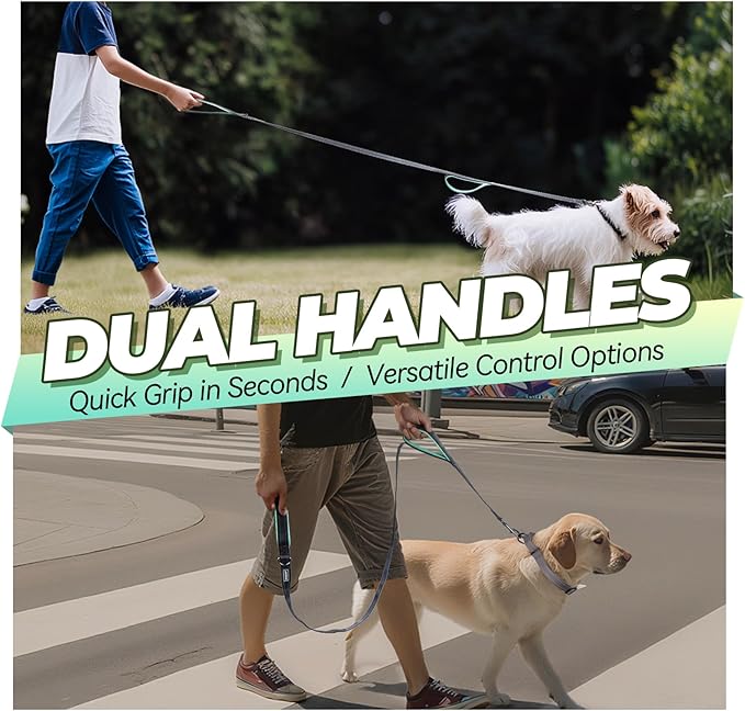 VIVAGLORY Twingrip Dog Leash, Double Handle Dog Leash for Training & Walking with Traffic Handle & 2 Loop, Traffic Control Reflective Heavy Duty for Puppy Pet, 6ft x 1in, Grey