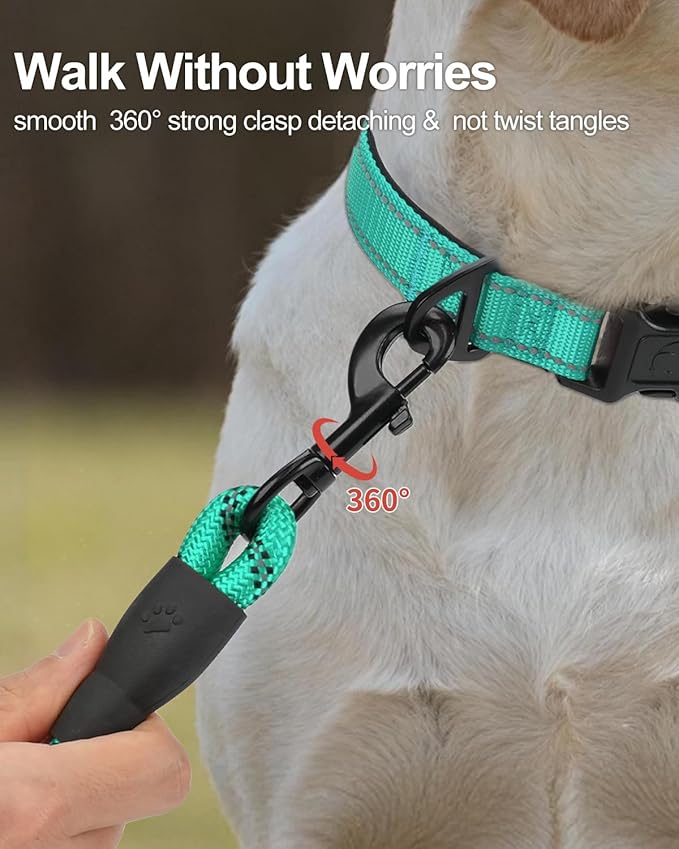 Joytale Dog Leash for Large Dogs, Heavy Duty Nylon Leashes with Comfortable Padded Handle and Highly Reflective Threads, Ideal for Walking and Training, Teal, 6'횞1/2''