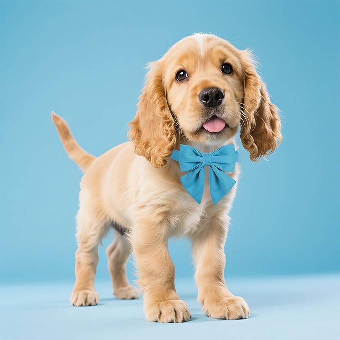 Maca Bates Sky Blue Dog Collar with Cute Solid Sailor Bow Tie for Medium Girl Boy Dogs,Adjustbale Durable Breakaway Soft Collars with Bowtie for Female Male Puppy,Pet with Metal Buckle