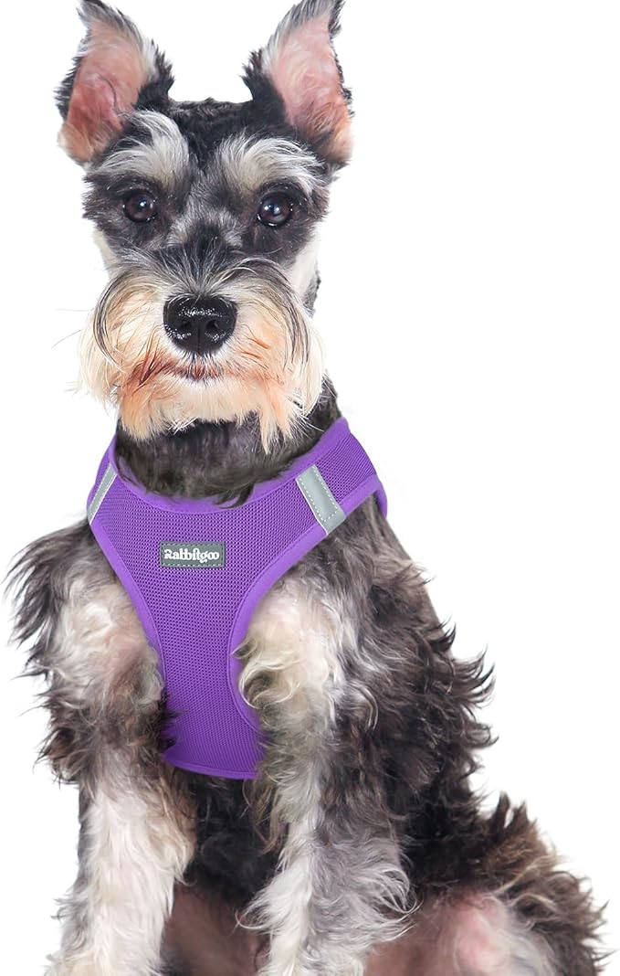 rabbitgoo Small Dog Harness, Step-in Soft Mesh Puppy Vest with Safety Buckle, Breathable Reflective Pet Harness for Large Dogs, Purple XXL
