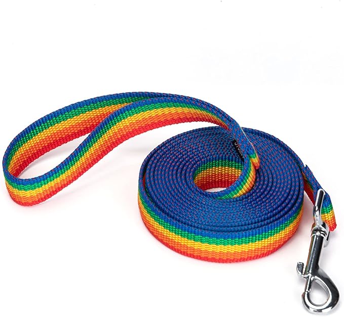 Strong Durable Nylon Dog Training Leash, 1 Inch Wide Traction Rope, 6 ft 10ft 15ft Long, for Small and Medium Dog (Rainbow, 10 Feet)