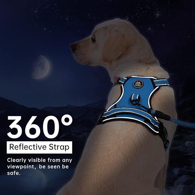IVY&LANE No Pull Dog Harness for Large Dogs, Dog Vest Harness with Leash, Safety Belt and Storage Strap, Fully Adjustable Harness, 360° Reflective Strip, Soft Handle (Blue,XL)