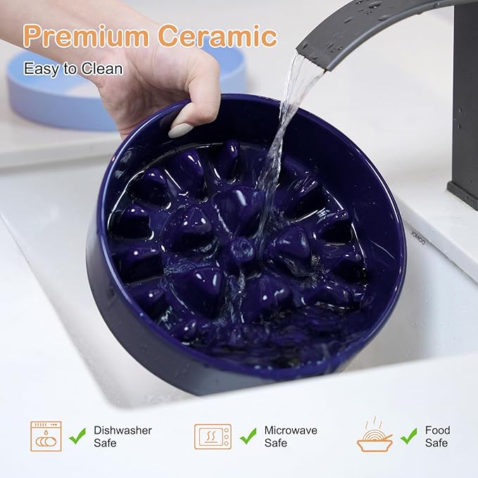 Sted Ceramic Slow Feeder Dog Bowl for Medium Large Breed, Puzzle Dog Food Bowl with Silicone Base, Maze Blue