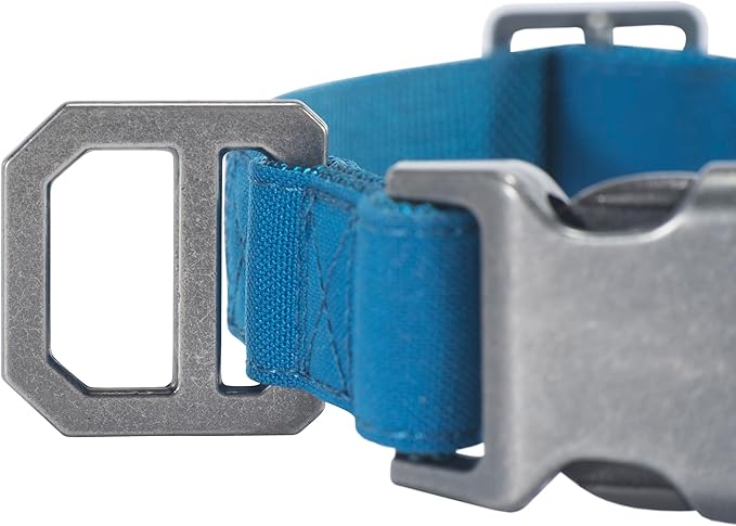 Carhartt Nylon Duck Dog Collar, Fully Adjustable Durable 2-Ply Cordura Nylon Canvas Collars for Dogs, Marine Blue, Medium