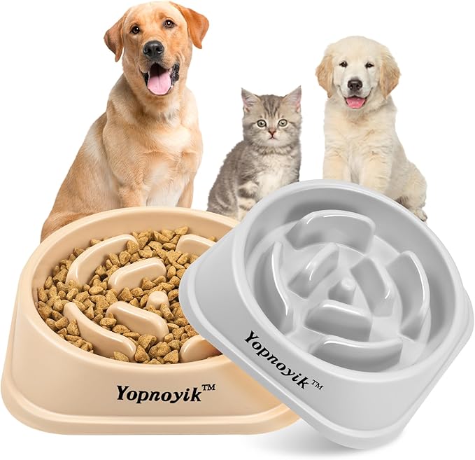 2 Pack Slow Feeder Dog Bowls for Healthy Eating, Non-Slip and Anti-Choking Design, Reduces Bloating & Overeating for Medium Dogs and Cats, Easy to Clean