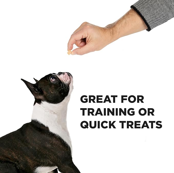 Healthy Dog Reward Treats - Hive Bites - 12 oz. - All Natural Small Dog Bites for Training, Natural Peanut Butter Flavored, Vegetarian Chews, Made in The USA