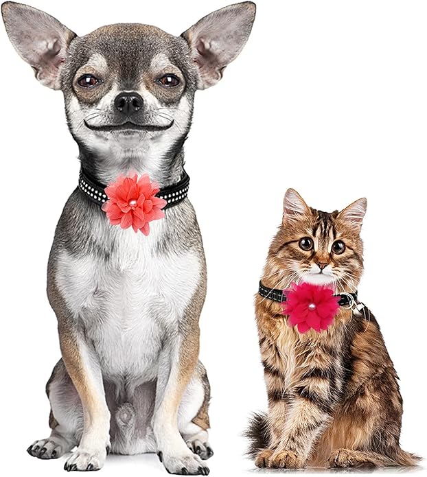 PET SHOW Valentines Small Dogs Flower Charms Slide Collar Accessories for Medium Large Dogs Cat Puppies Rabbit Pigs Collars Bows Grooming Supplies