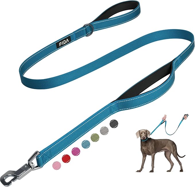 Fida 5 FT Heavy Duty Dog Leash with 2 Comfortable Padded Handles, Traffic Handle & Advanced Easy Snap Hook, Reflective Walking Lead for Large, Medium & Small Breed Dogs, Blue