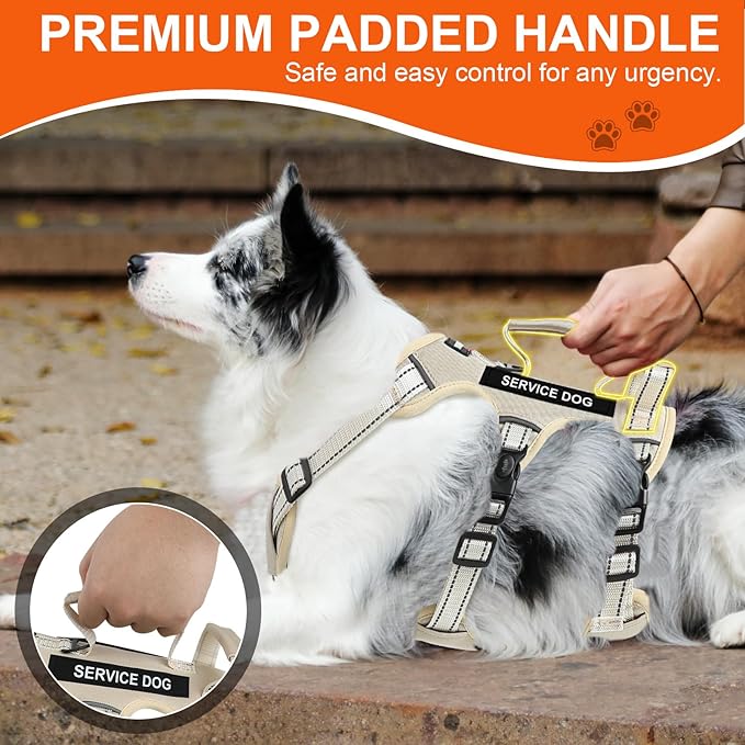 Escape Proof Dog Harness for Large Medium Sized Dogs Six Point Adjustable, Service Dog Vest Harness and Leash Set, No Pull Dogs Harnesses with Handle, Medium Dog Harnesses for Walking(Beige, M)