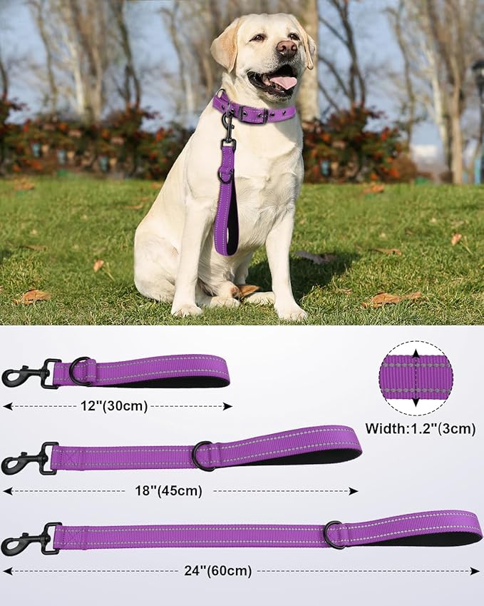 Joytale Strong Short Dog Leash 2FT, 1.2 Inch Wide, Heavy Duty, Padded Handle for Traffic Control, Reflective Leash for Medium and Large Dogs Walking Training, Purple