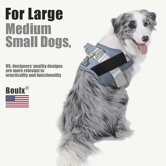 Bolux Dog Harness, No-Pull Reflective Dog Vest, Breathable Adjustable Pet Harness with Handle for Outdoor Walking - No More Pulling, Tugging or Choking (Blue, XS)