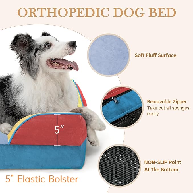 Comfort Expression Orthopedic Dog Bed for Extra Large Dogs 45x35 Inch, Waterproof Egg Crate Foam XL Pet Bed with Removable Bolsters, Dog Couch with Washable Cover & Non-Slip Bottom, Funfetti Fiesta
