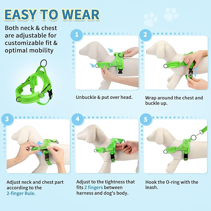 SlowTon No Pull Small Dog Harness and Leash Set, Puppy Soft Vest Harness Neck & Chest Adjustable, Reflective Lightweight & Anti-Twist Pet Lead Combo for Small Medium Dogs (G- Front Clip,S)