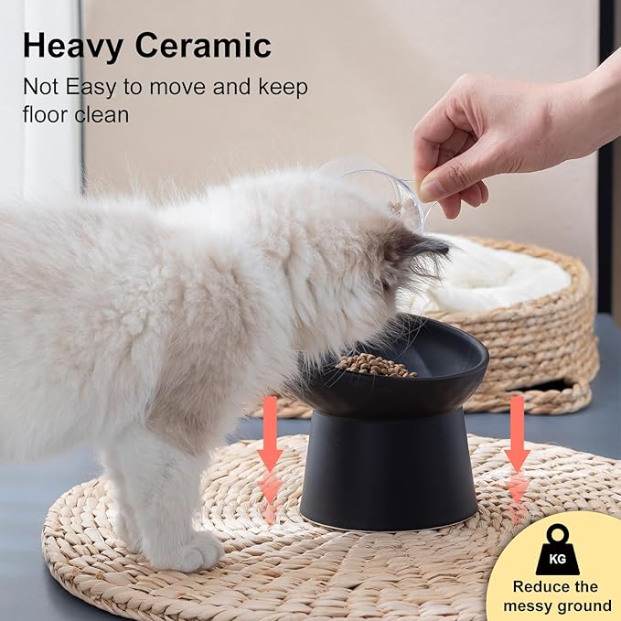 YauYik Ceramic Raised Cat Bowls, Elevated Tilted Cat Food and Water Bowls Set, Stress Free Pet Feeding Dish for Indoor Cats and Small Dogs, Anti Vomiting, Black, 2 Pack