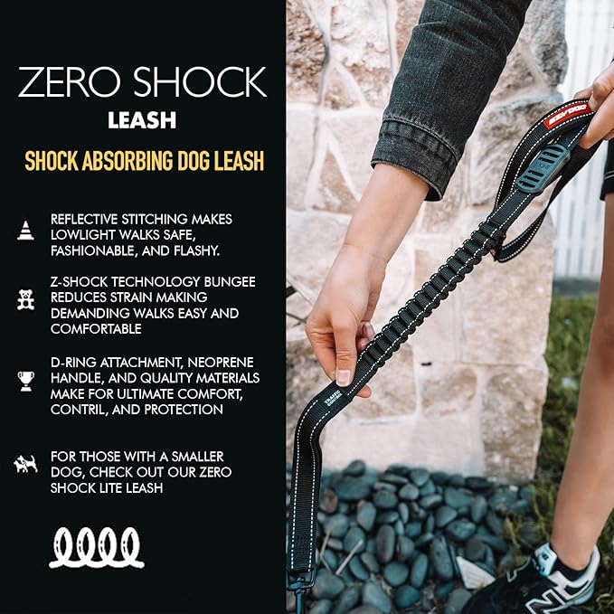 EzyDog Zero Shock Dog Leash - Shock Absorbing Bungee Leash for Dogs That Pull or Excite - Dual Handle and Reflective for Large, Medium, or Small Dogs (72-Inch, Purple)