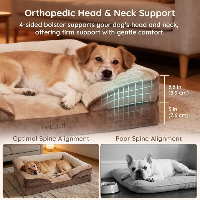BELLA & PAL Orthopedic Dog Sofa Bed for Medium/Large Dogs – No Assembly Needed, Chew-Proof Egg-Crate Foam Dog Couch with Waterproof Liner, Washable Removable Cover (Brown, 28" L x 23" W x 6" Th)