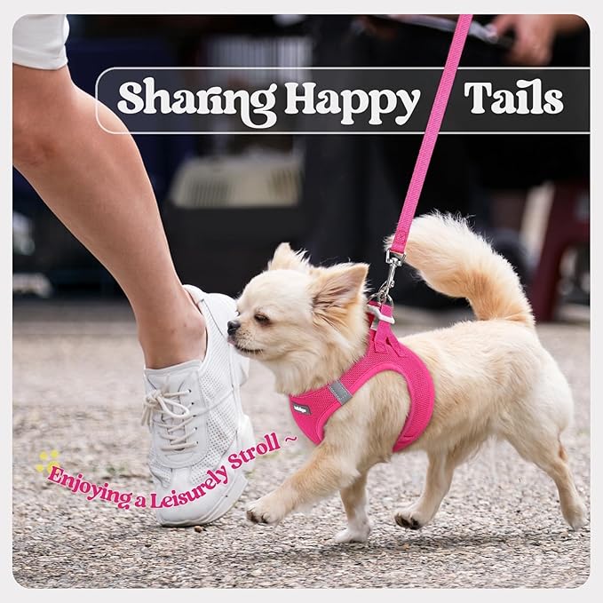 rabbitgoo Dog Harness Small Sized and Leash Set, Step in Soft Light Puppy Vest, Breathable Mesh Pet Harness, Reflective for Safe Easy Walking, Rosa Red XXXS
