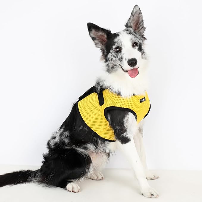 PUPPIA International Harness Soft B Vest, Medium, Yellow