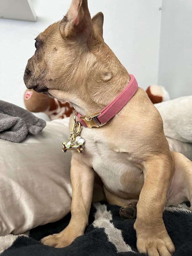 Soft Corduroy Fibric Dog Collar with High Grade Metal Buckle, for Medium Dogs.Pink,Medium:12-19"
