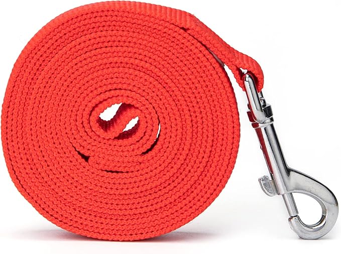 Strong Durable Nylon Dog Training Leash, 1 Inch Wide Traction Rope, 6 ft 10ft 15ft Long, for Small and Medium Dog (Red, 6 Feet)