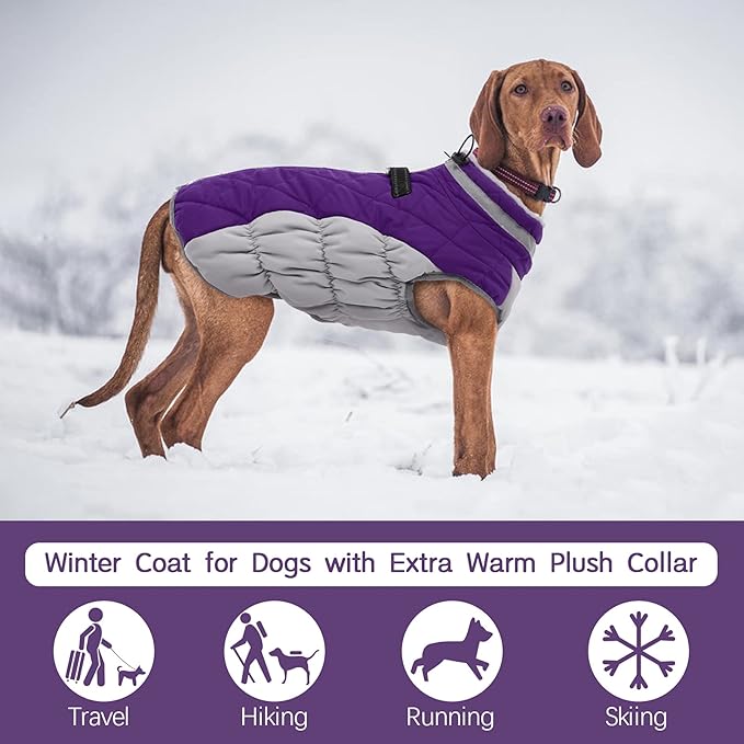 FUAMEY Dog Coat for Medium Dogs,Waterproof Dog Winter Jacket with Harness Built in Puppy Cold Weather Coats Reflective Pet Vest with Zipper Warm Fleece Dogs Snowsuit Windproof Purple M