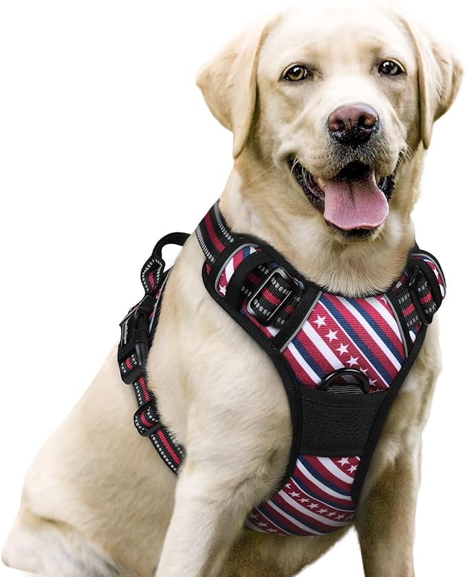 rabbitgoo Dog Harness No Pull with 2 Leash Clips, Adjustable Soft Padded, Reflective Oxford No Choke Pet Vest with Easy Control Handle for Large Dogs, Red Stripe, L